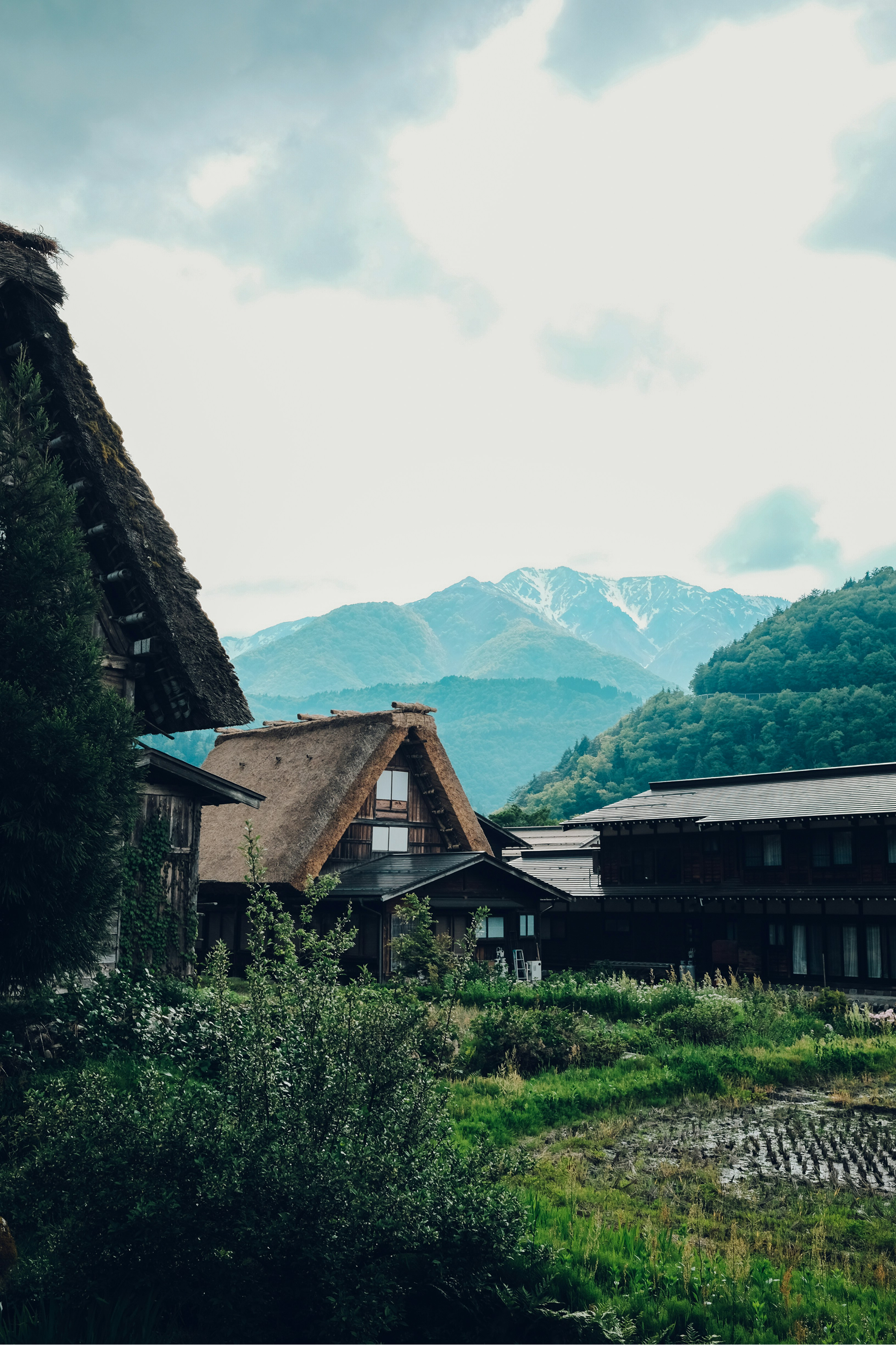Japanese countryside